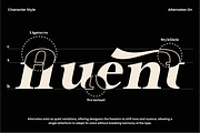 Zeist Qisofay - Modern Luxury Serif, a Serif Font by NexaLine (Thumbnail 5 of 10)