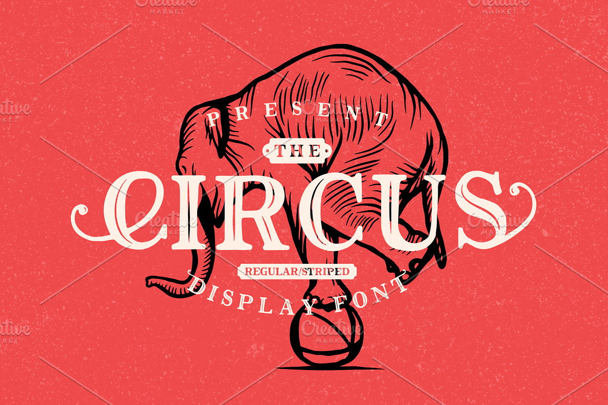 The Circus Display Font, a Handwritten Font by PremiumMockup (Photo 1 of 5)