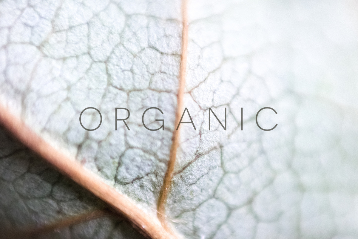Organic | 20 Botanical Photos, a Nature Photo by Melanie Helena (Photo 7 of 20)