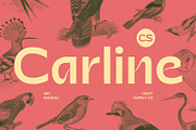 CS Carline – Art Nouveau Font, a Sans Serif Font by Craft Supply Co. (Thumbnail 1 of 8)