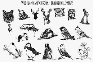 18 Woodland Animal Sketches Vectors