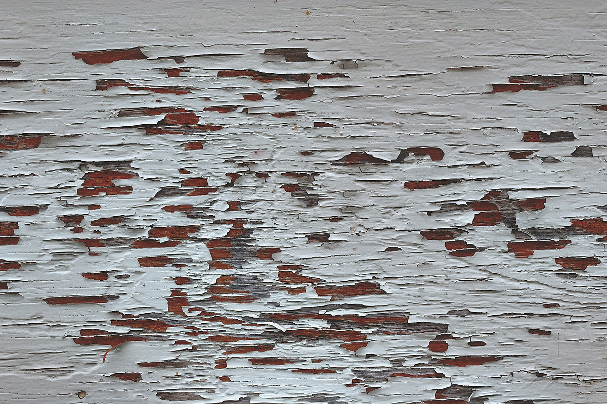 Painted wood textures, a Texture Graphic by The Shop (Photo 9 of 26)