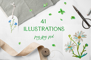 Crayon Wildflowers & Grasses Clipart, a Healthcare Illustration by Lucyinyourheart