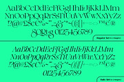 The Regals Serif Font, a Serif Font by Sam Parrett (Thumbnail 13 of 14)