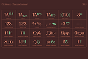 TA Solivare Variable, a Sans Serif Font by TAFT Foundry (Thumbnail 5 of 15)