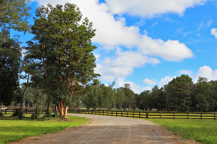 The dirt road in the countryside, a Nature Photo by kavram