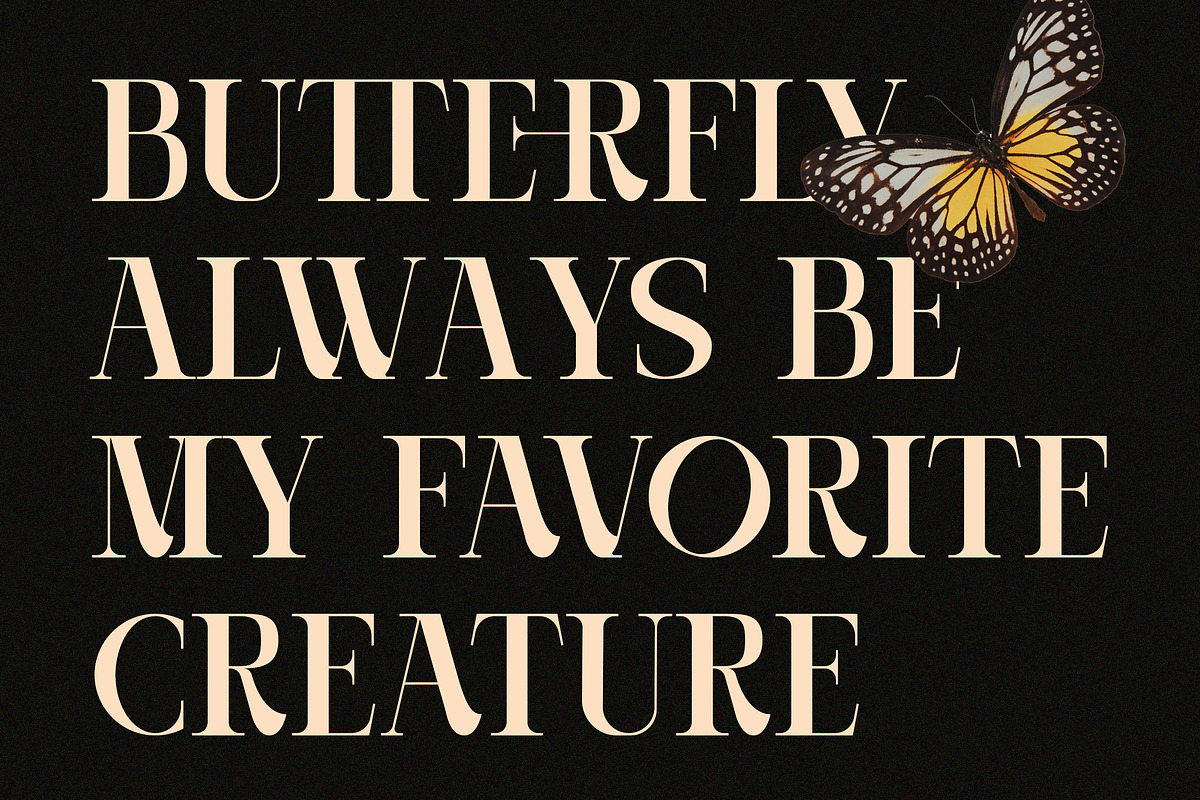 Casthelic - Elegant Serif Typeface, a Serif Font by Dryy.type (Photo 3 of 11)