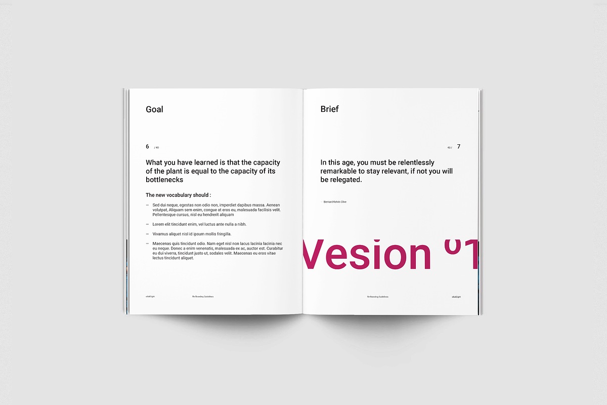 Re-Branding Guidelines, a Brochure Template by silukEight (Photo 4 of 20)