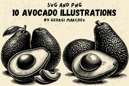 Avocado Illustrations Bundle SVG PNG, a Food Illustration by Ray Crimson