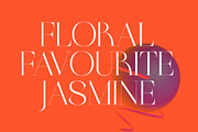 Braston - Elegant Serif Font, a Serif Font by Dora Typefoundry (Thumbnail 15 of 20)