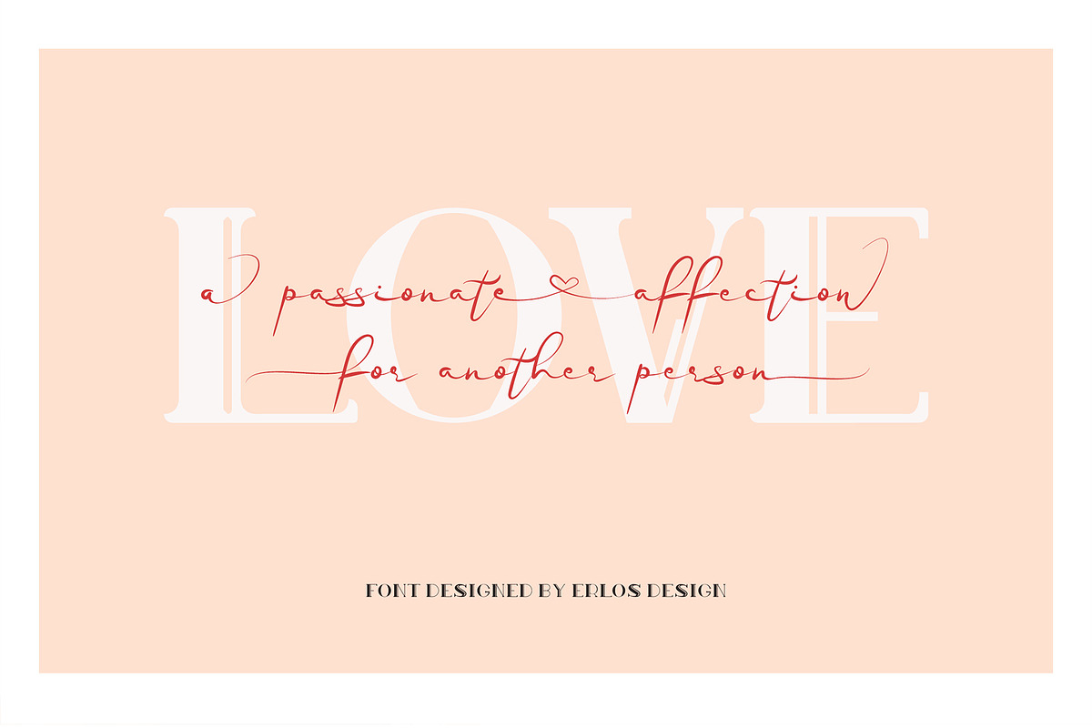 Blanche - Signature Font, a Script Font by erlosDESIGN (Photo 11 of 15)