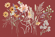 Peach Cosmos Wildflower Clipart Set, an Object Graphic by Digital Museum (Thumbnail 8 of 8)
