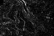 Lilliputian, a Texture Graphic by Jennifer Lauren Creative (Thumbnail 6 of 28)