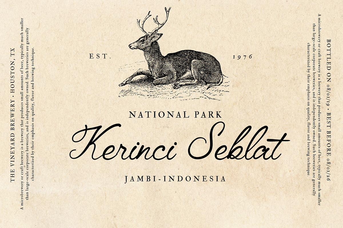 Amantta Script Font, a Script Font by BumbleGraph Studio (Photo 9 of 10)