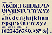 Shoreline Skeletons - ligatures Font, a Serif Font by 177Studio (Thumbnail 7 of 8)