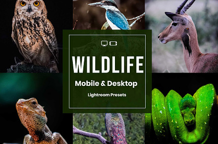 Wildlife Lightroom Presets