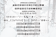 Winter Jungle | Script Font, a Script Font by Scratchones (Thumbnail 7 of 8)