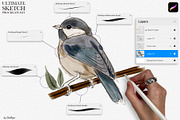 Ultimate Sketch Procreate Brushes, a Brush Add-On by owlasya (Thumbnail 2 of 6)