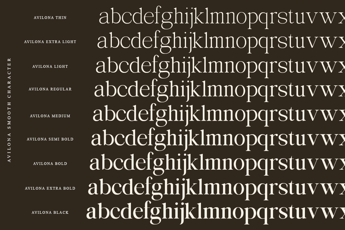 Avilona Super Family | 63 Style Font, a Serif Font by IM Studio (Photo 16 of 16)
