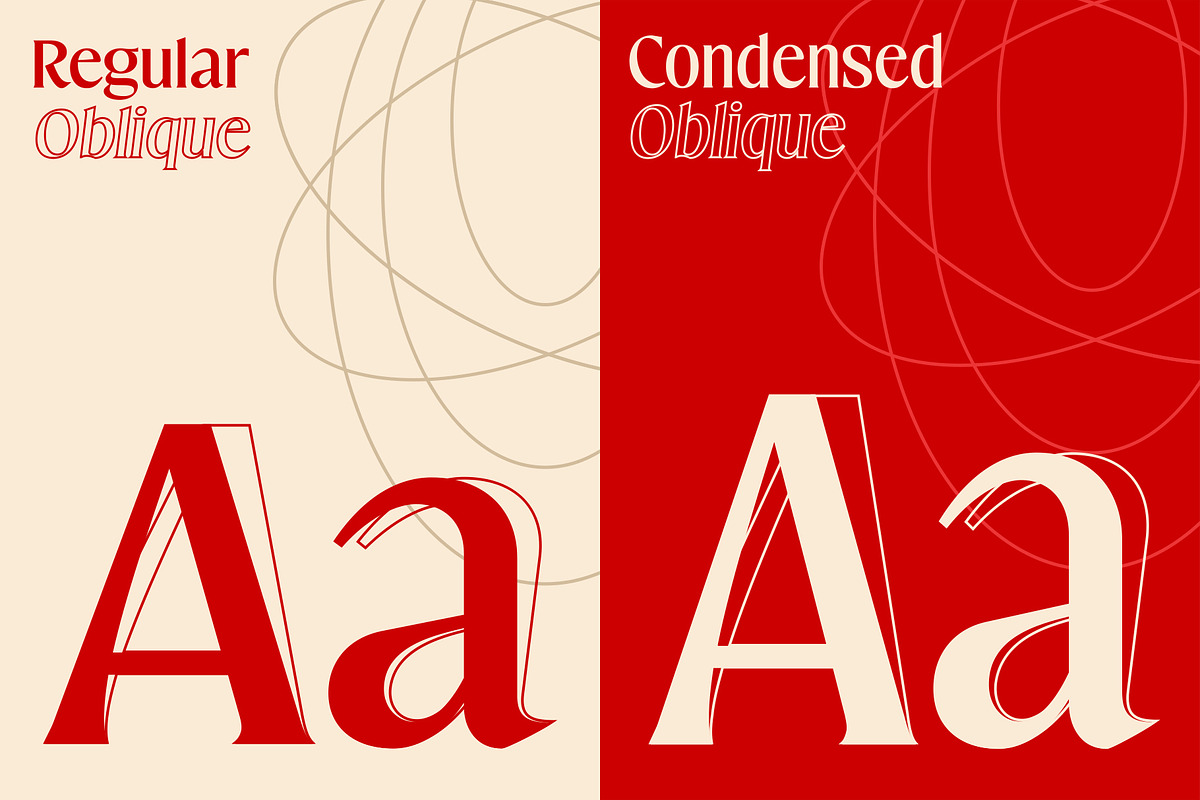 Mavitya, a Serif Font by Dora Typefoundry (Photo 4 of 12)