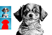 Dog Photo to Tracing Action, an Action Add-On by Photoshop Action (Thumbnail 2 of 10)