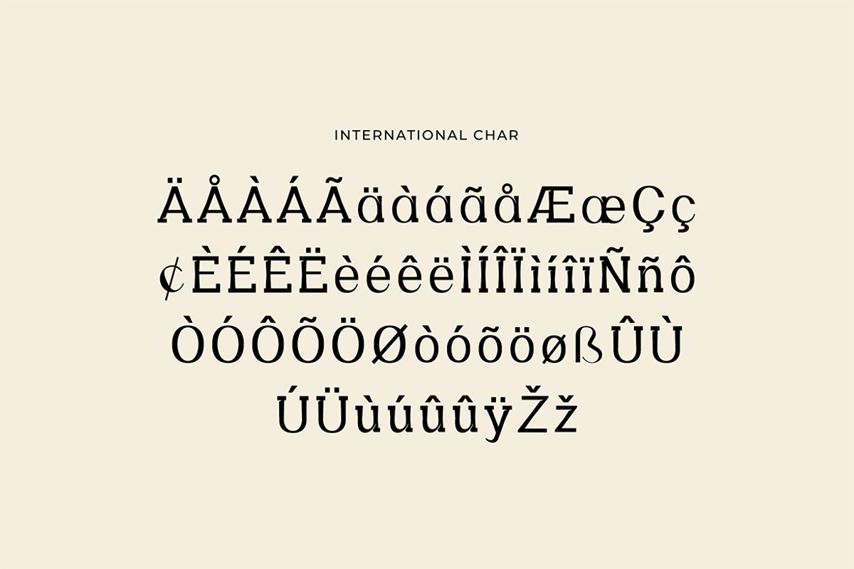 Methadone Modern Serif Font, a Serif Font by UICreative (Photo 9 of 13)