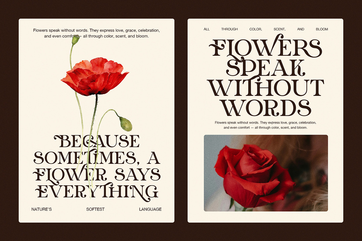 The Dinora Elegant Serif Font, a Serif Font by Graphicxell (Photo 4 of 8)