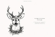 Vintage Christmas Drawings, a Seasonal Illustration by PeDe Designs (Thumbnail 3 of 12)
