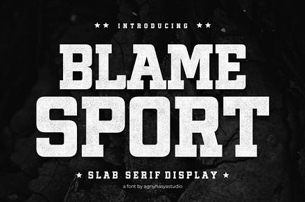 Blame Sport, a Slab Serif Font by agnyhasyastudio