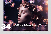 X-Ray Meadow Flora Overlays, a Texture Graphic by PhotoSpirit (Thumbnail 1 of 8)