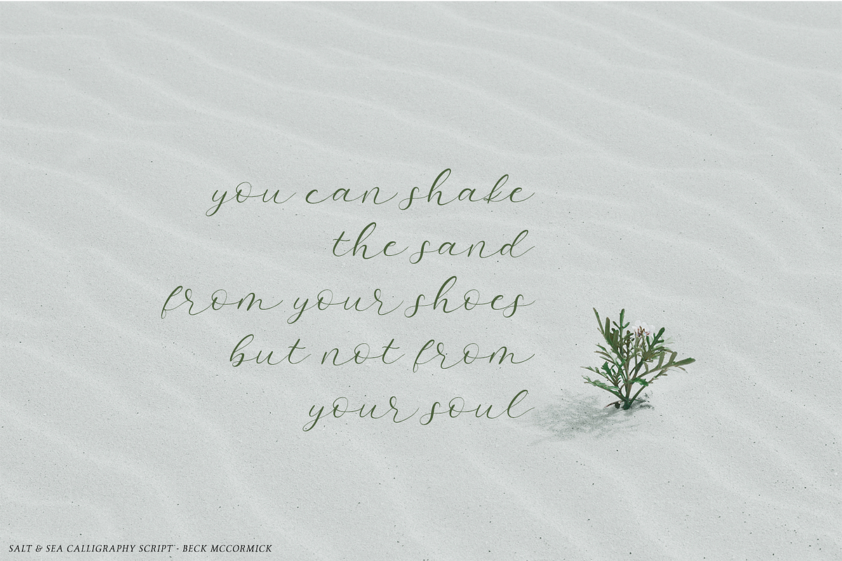 Salt and Sea Calligraphy Font preview 3