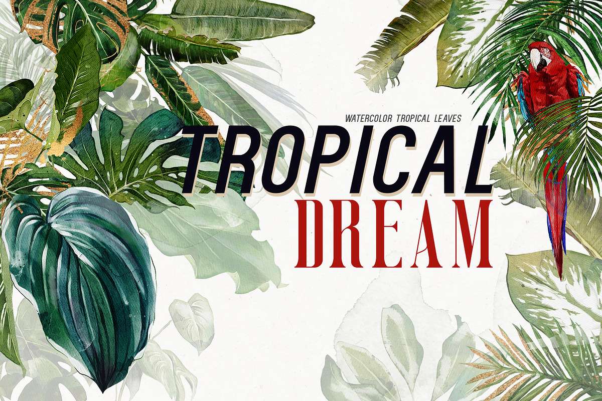 Watercolor Tropical Leaves, a Decorative Illustration by Damian Roh (Photo 1 of 19)