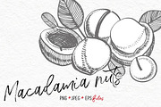 Nuts &  Health snacks, a Food Illustration by Ann Astro (Thumbnail 6 of 12)