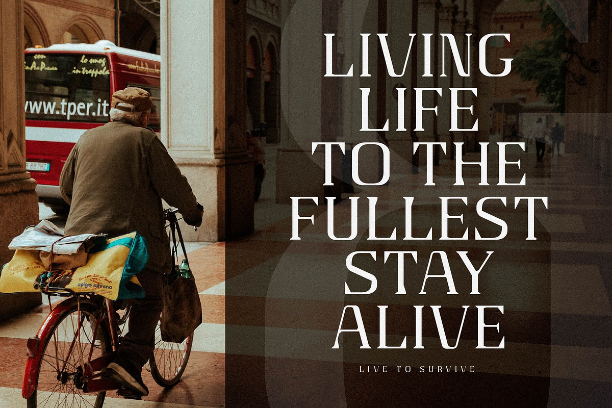 Gaines Display Serif Font, a Serif Font by Storytype Studio (Photo 2 of 15)