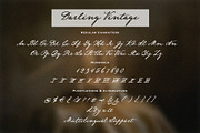 Darling Vintage Handwritten Font, a Script Font by Calamar Studio (Thumbnail 14 of 15)