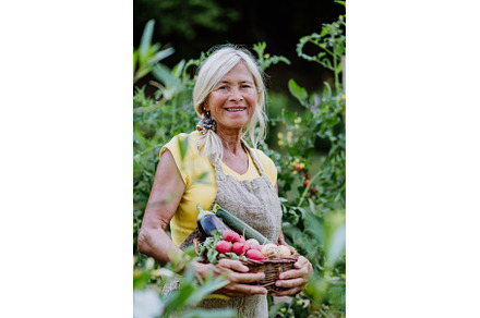 Senior farmer holding basket with, a Person Photo by HalfPoint