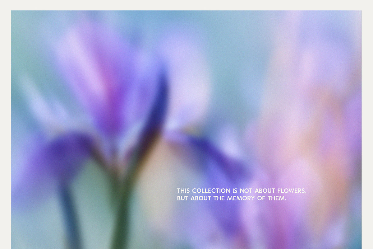 Abstract Blurry Botanical Bundle, a Background Graphic by Lana Elanor (Photo 19 of 20)