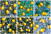 Watercolor Summer Lemon Background, an Illustration by DreamArtGraphic (Thumbnail 4 of 5)