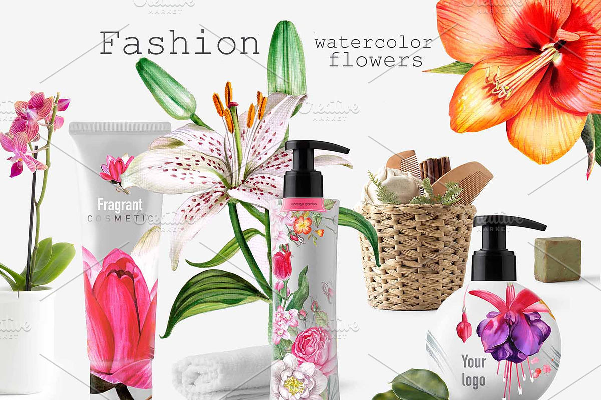 Over 120PNG watercolors, an Illustration by Alisa Mikibith Art (Photo 13 of 15)