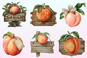 Cute Peaches Garden Fruit Png, a Graphic by CitraGraphics (Thumbnail 2 of 4)