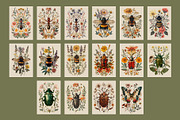 Insects | Vintage posters, a Graphic by katieromanoff_art (Thumbnail 9 of 12)