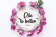 Newborn | Script Font, a Handwritten Font by Scratchones (Thumbnail 3 of 9)