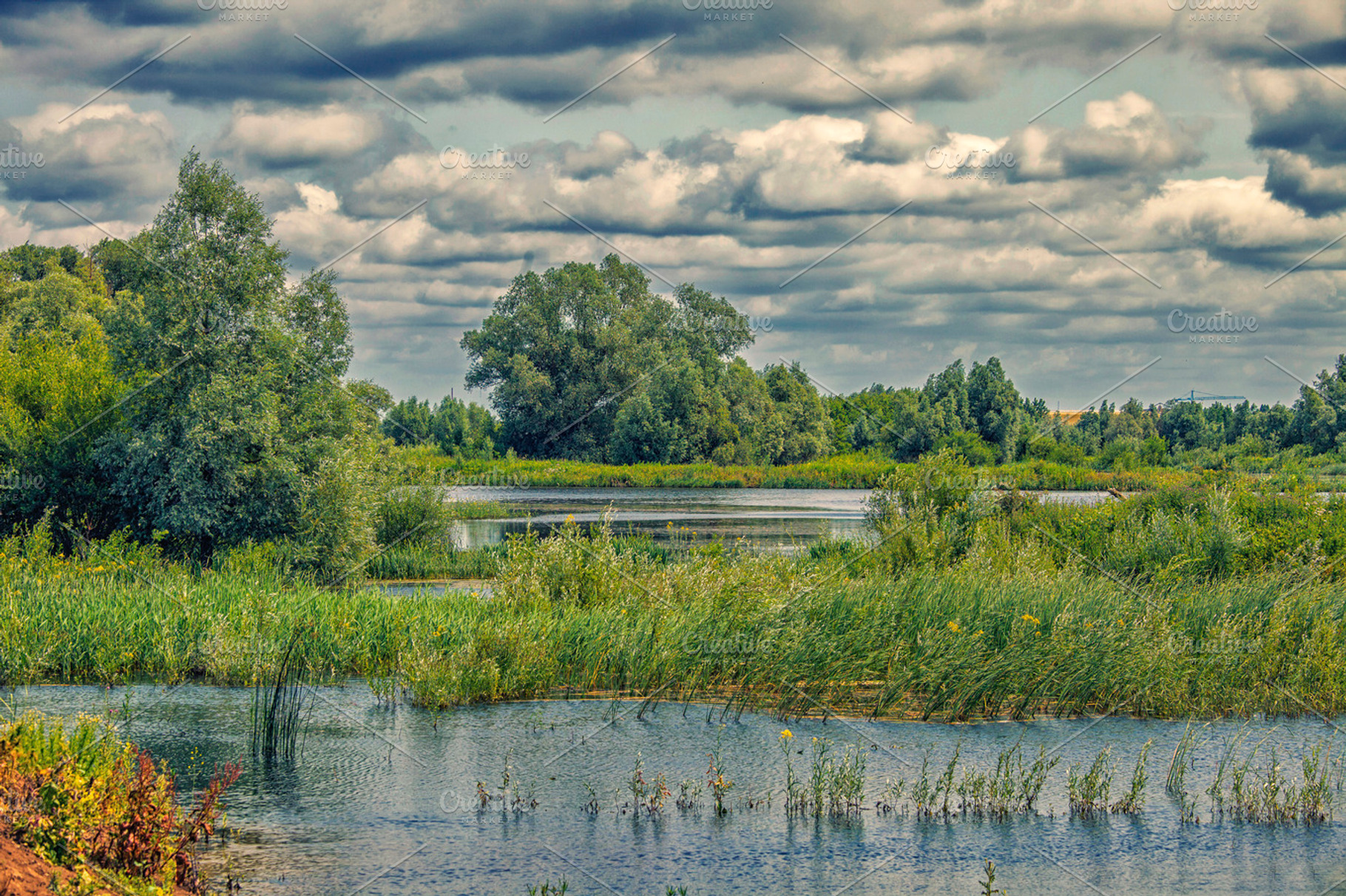 Overflowing Forelands Of A River