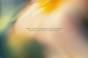 Light Flora Collection, a Background Graphic by NKate (Thumbnail 11 of 12)