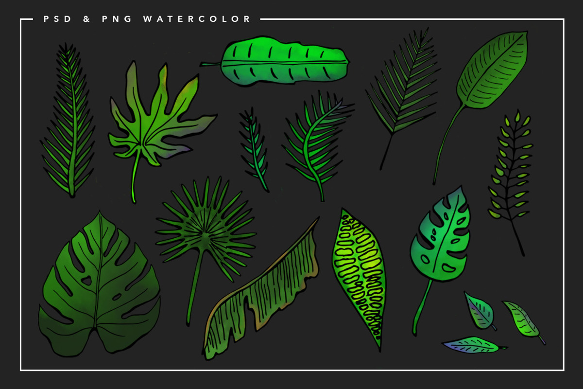 Tropical Watercolor Illustrations, an Illustration by Spring Break Jake (Photo 13 of 19)
