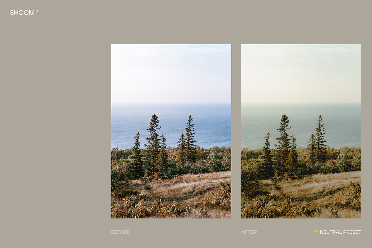 Chill Film: Lightroom Presets, a Preset Add-On by SHOOM HOUSE (Photo 5 of 10)