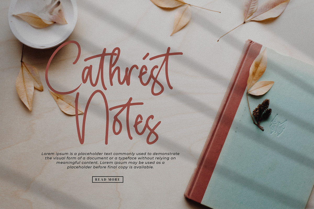 Menttally Weignota, a Script Font by Integritype Studio (Photo 6 of 15)