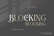Clemb - Ligature Display Font, a Serif Font by Ekahermawan (Thumbnail 4 of 14)