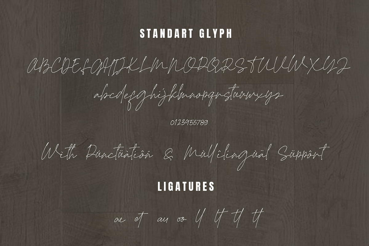 Rosyitha Signature, a Script Font by Typegoals Studio (Photo 7 of 8)