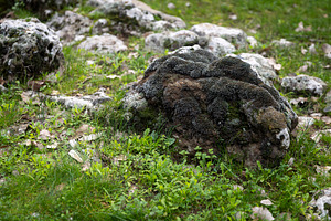 Close up of a large natural stone co, a Nature Photo by Imaginarium